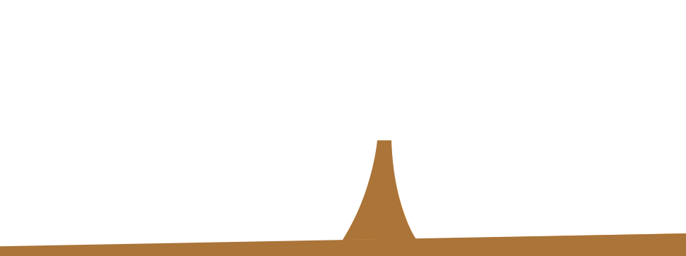 image 16